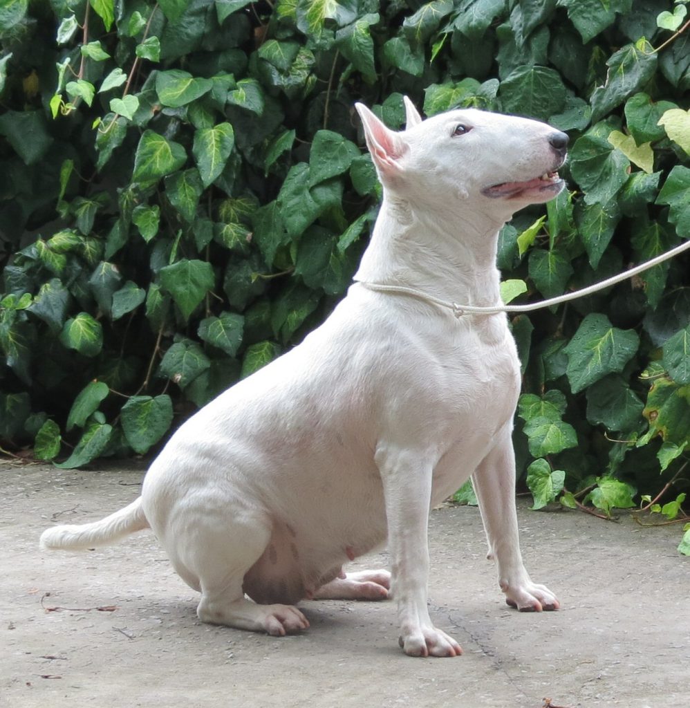 Credetta Candido (Kira)